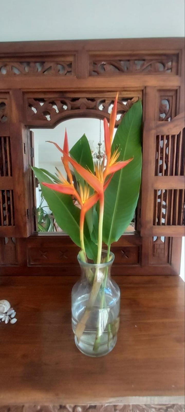 Residence71Nadi Fiji Ngoại thất bức ảnh